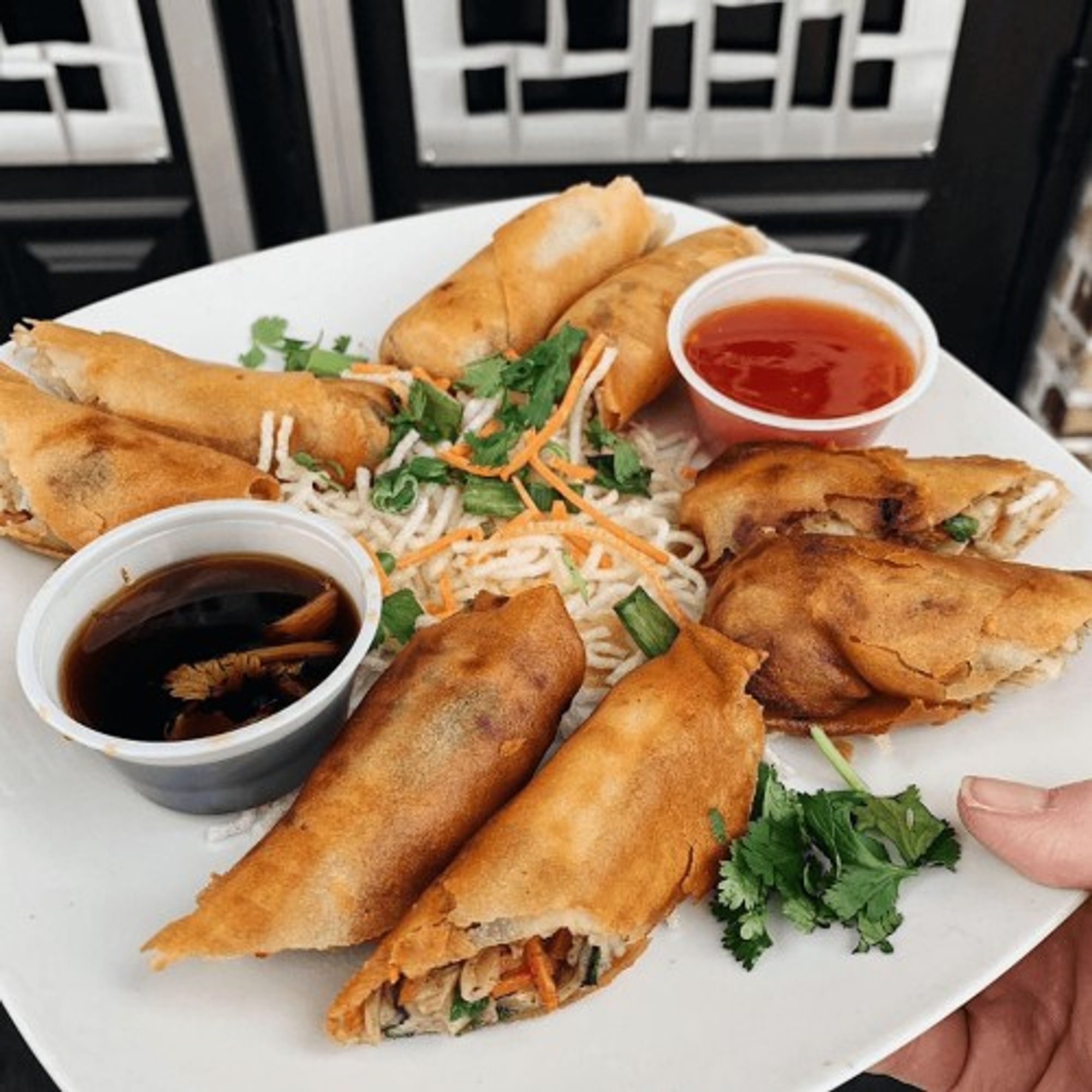 Spring Rolls (2)