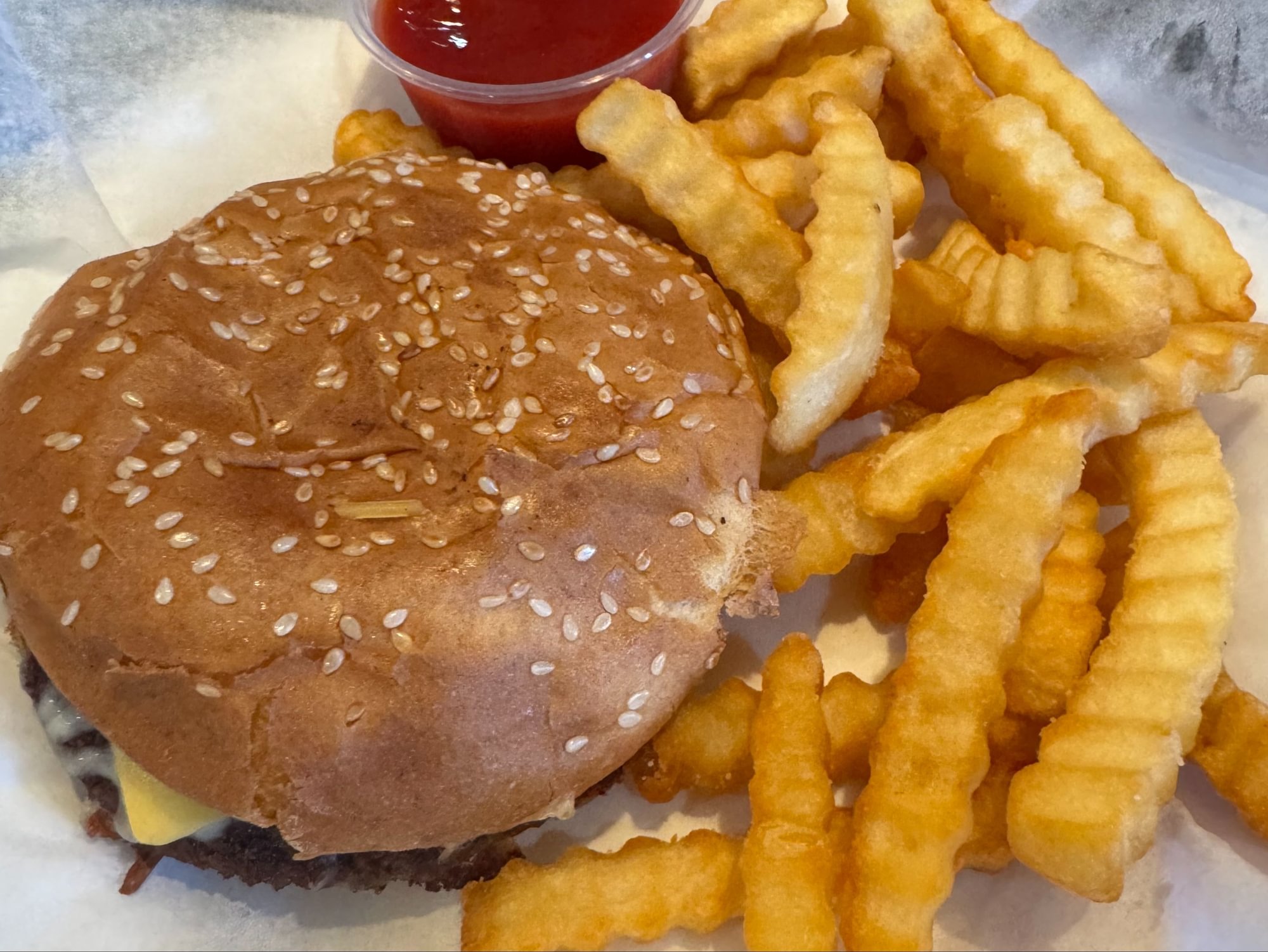 Cheese Burger (Kids)