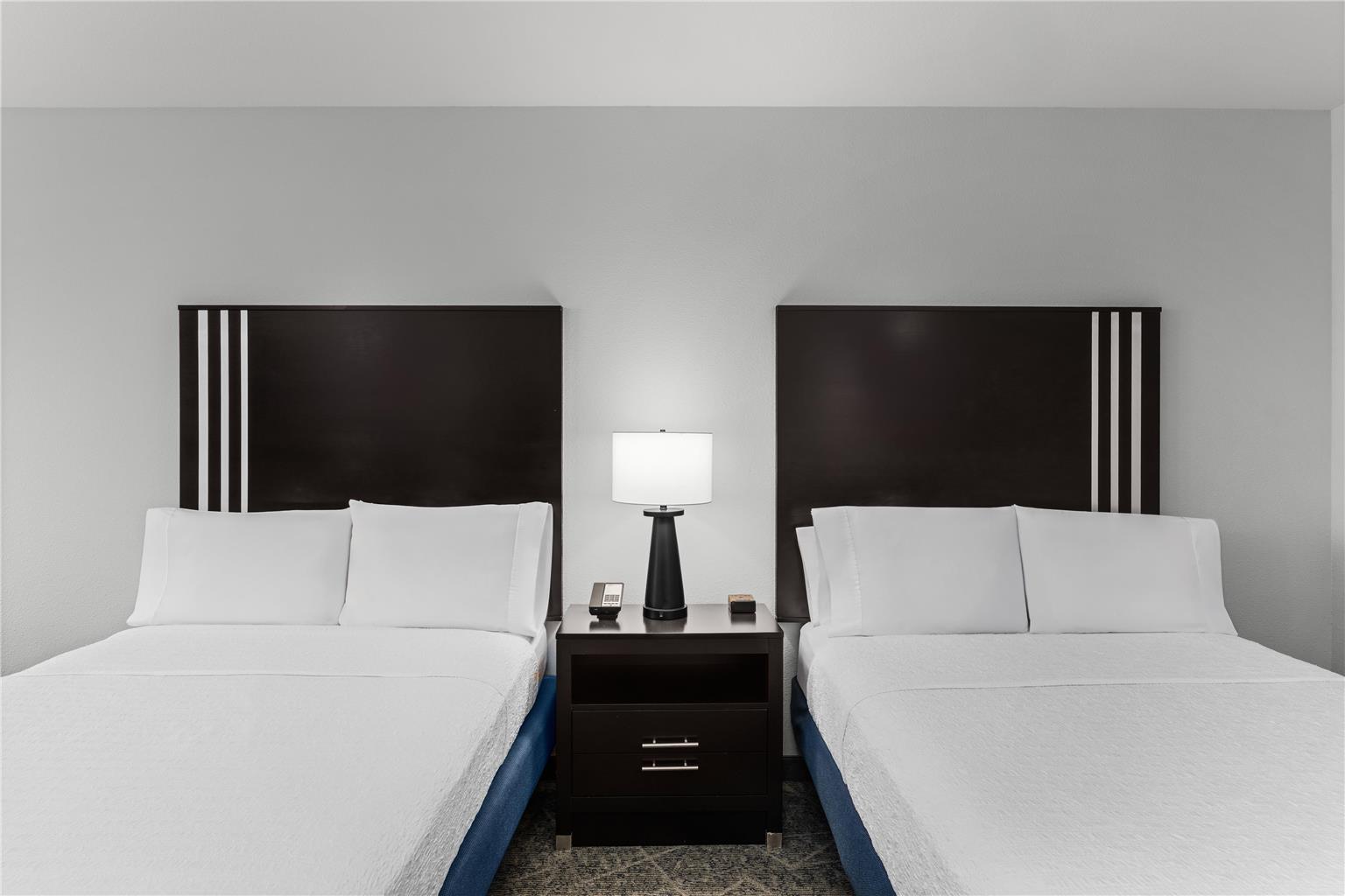 Hampton Inn & Suites Mountain View Image