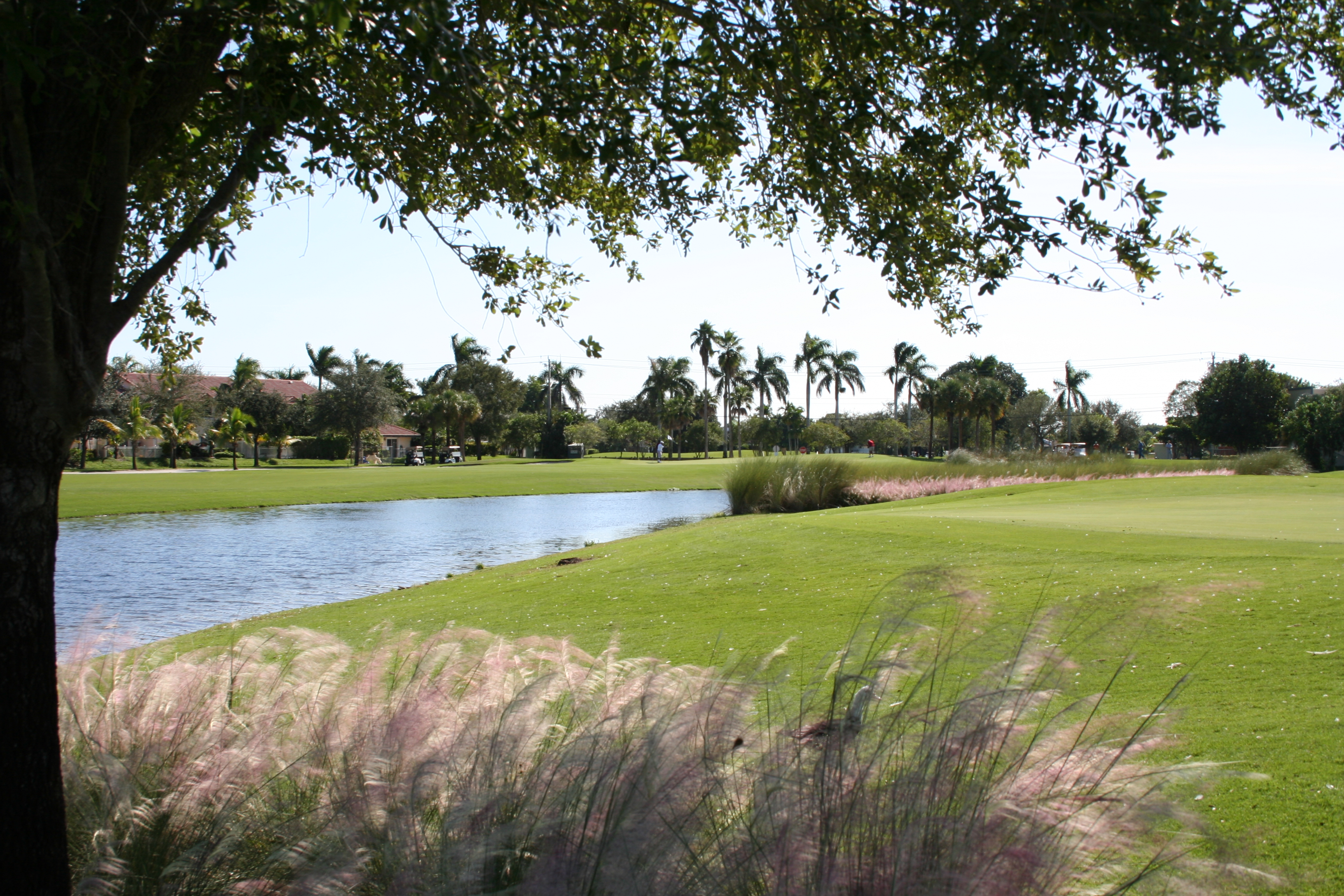 The Bridges at Springtree Golf Club Sunrise, FL Company Profile