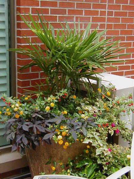 Foliage Design Systems Atlanta Image