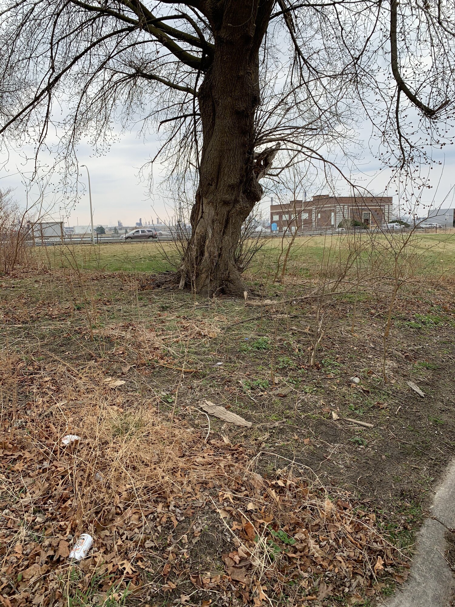 J. Molina Landscaping Image