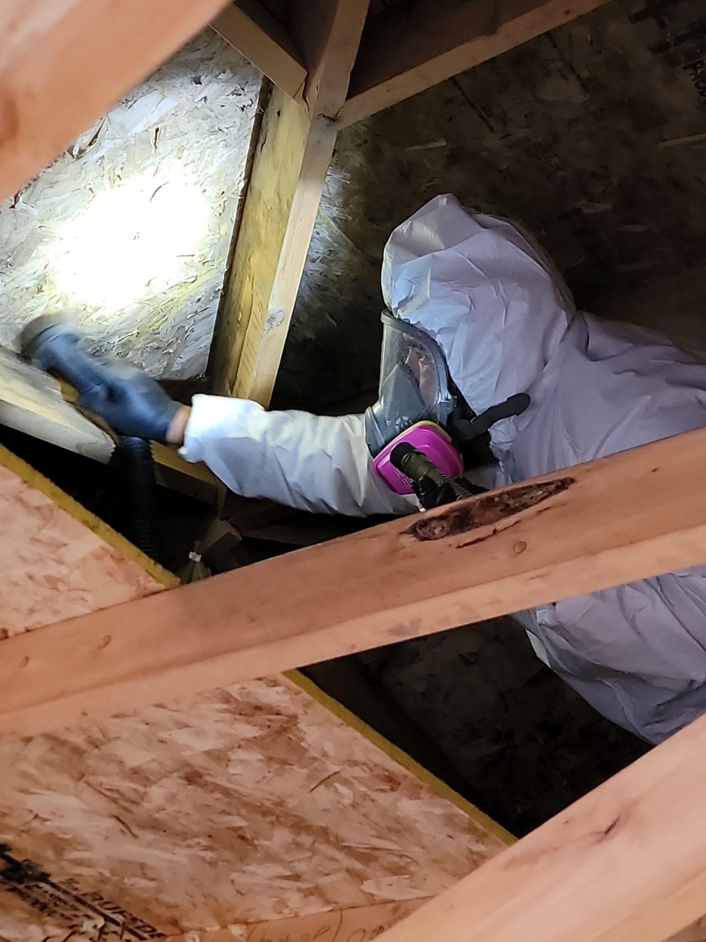 Water Damage, Inc. Image