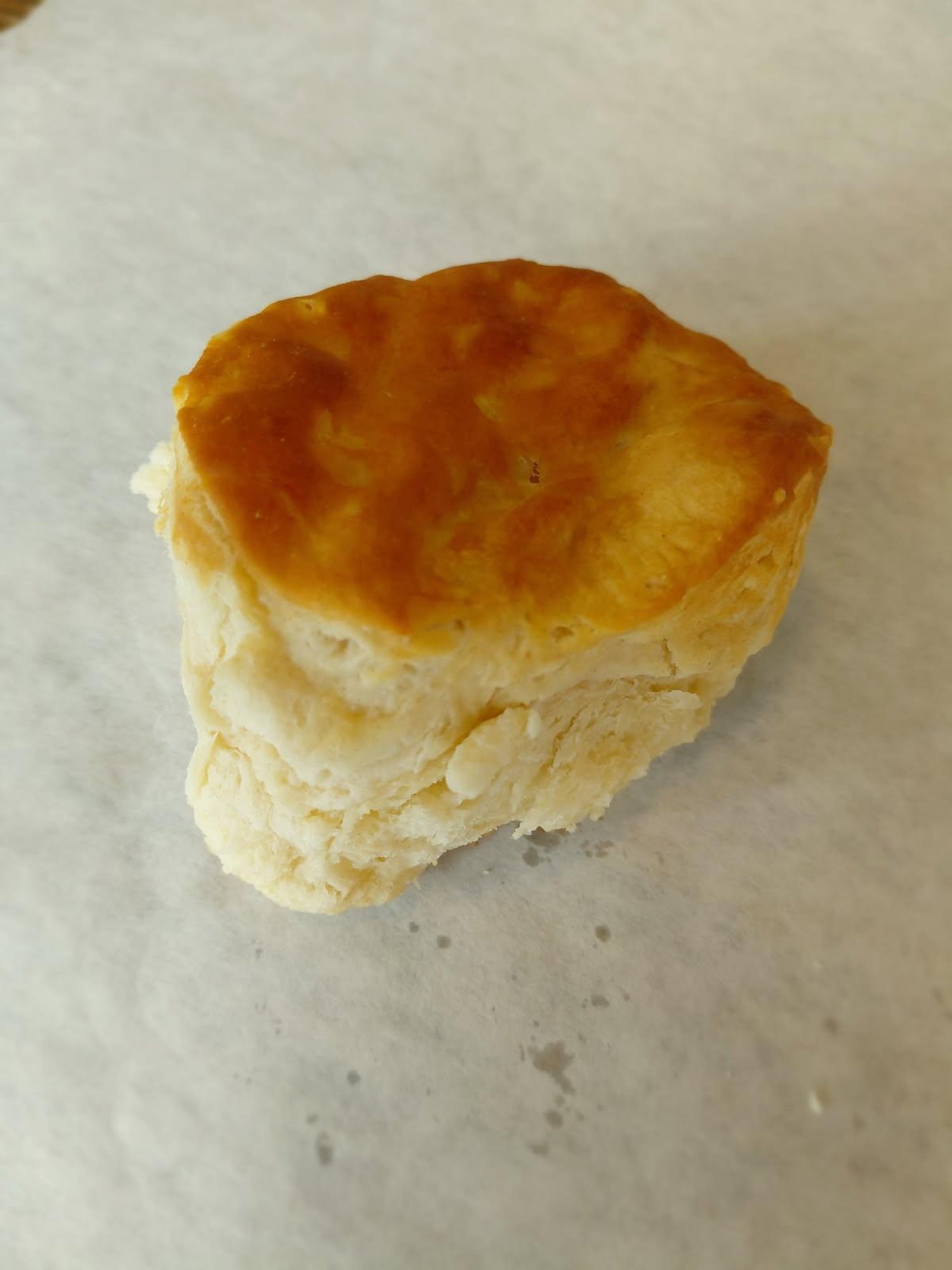 Biscuit