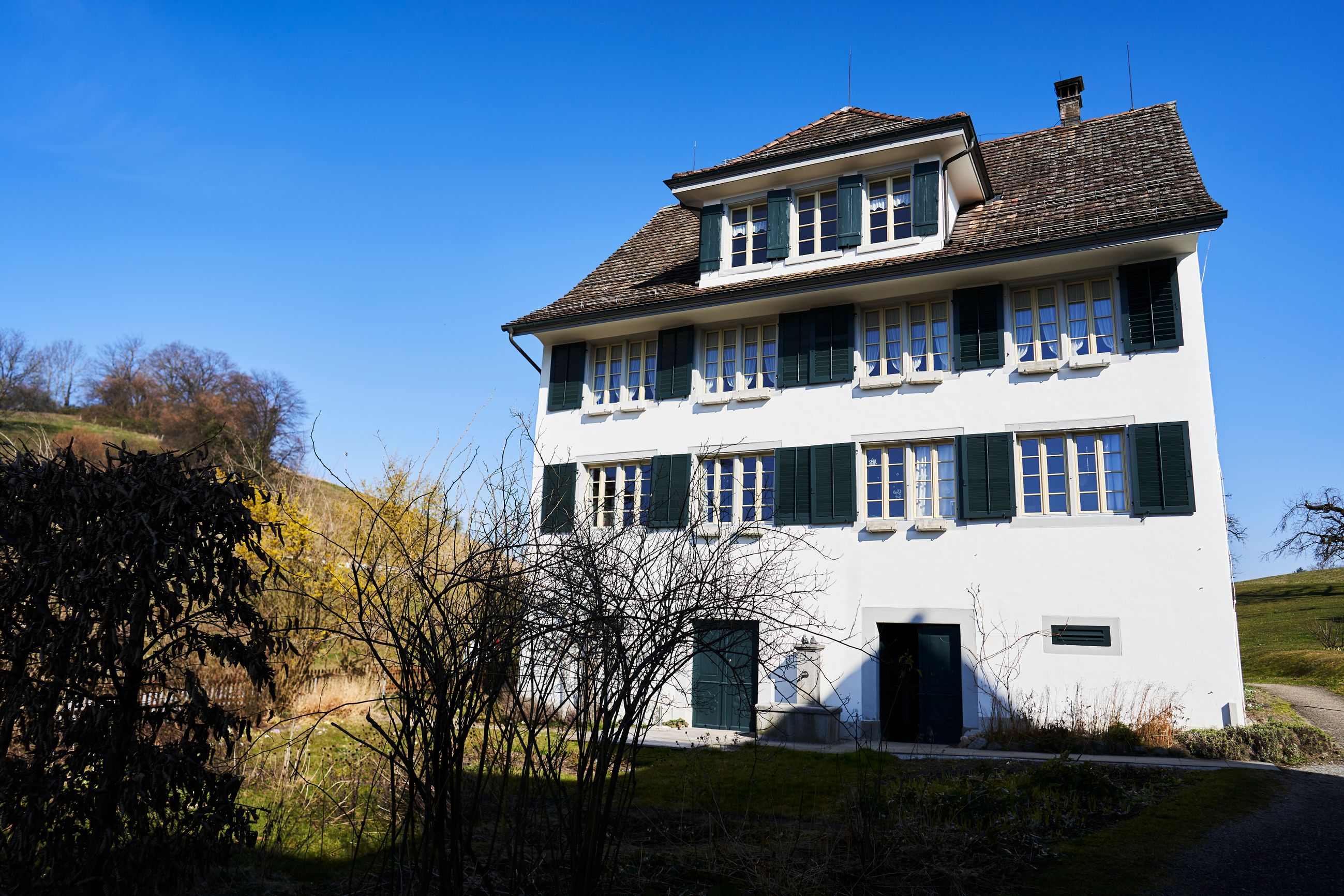Galerie-Thumbnail