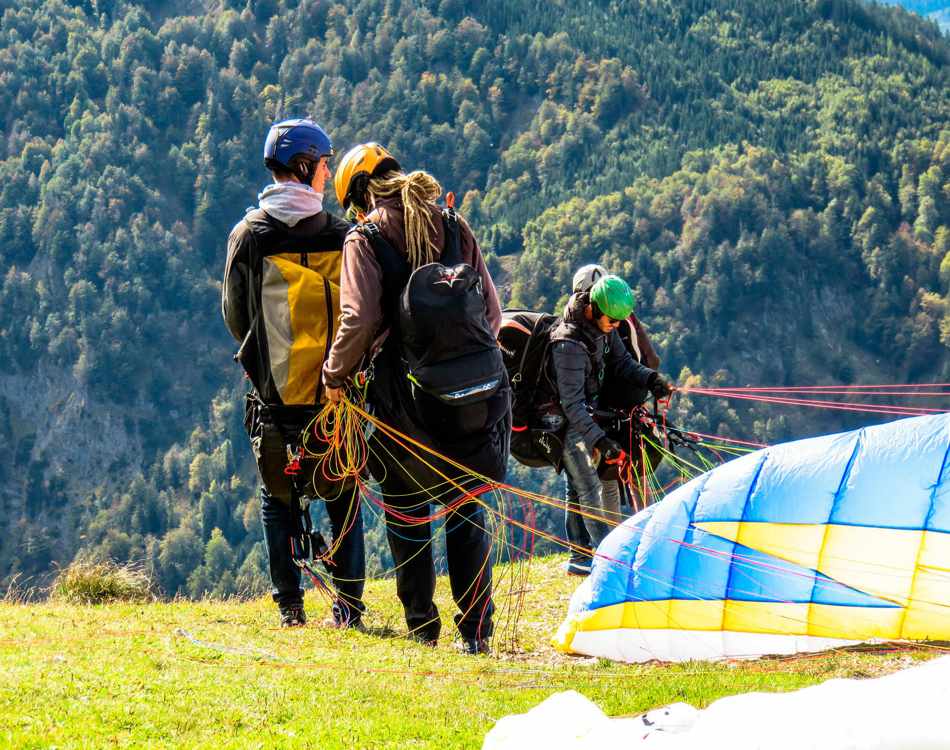 Galería en miniatura