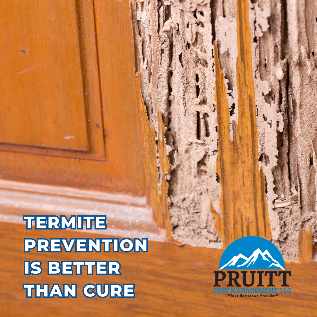 Pruitt Pest Management