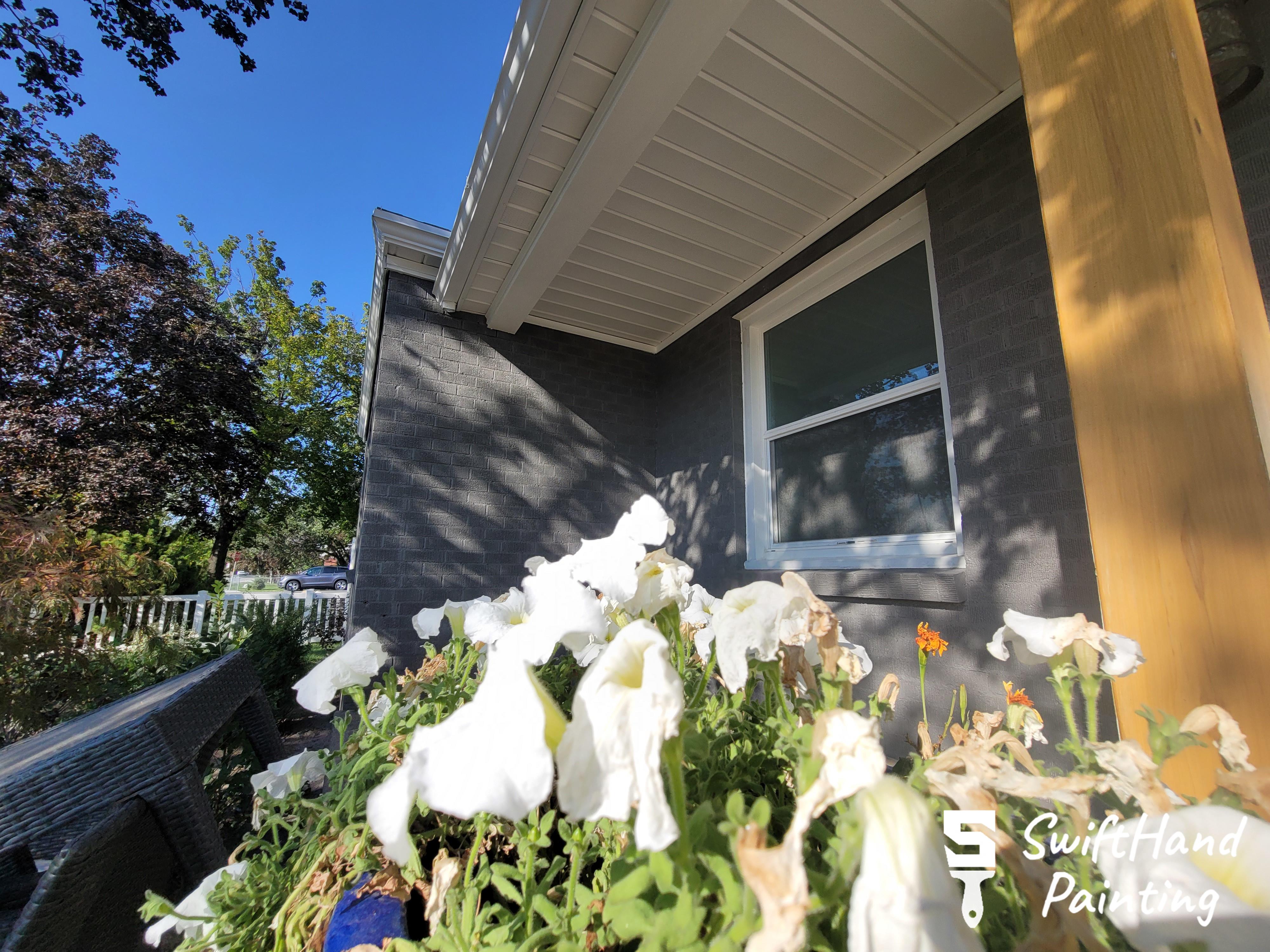 SwiftHand Painting Image