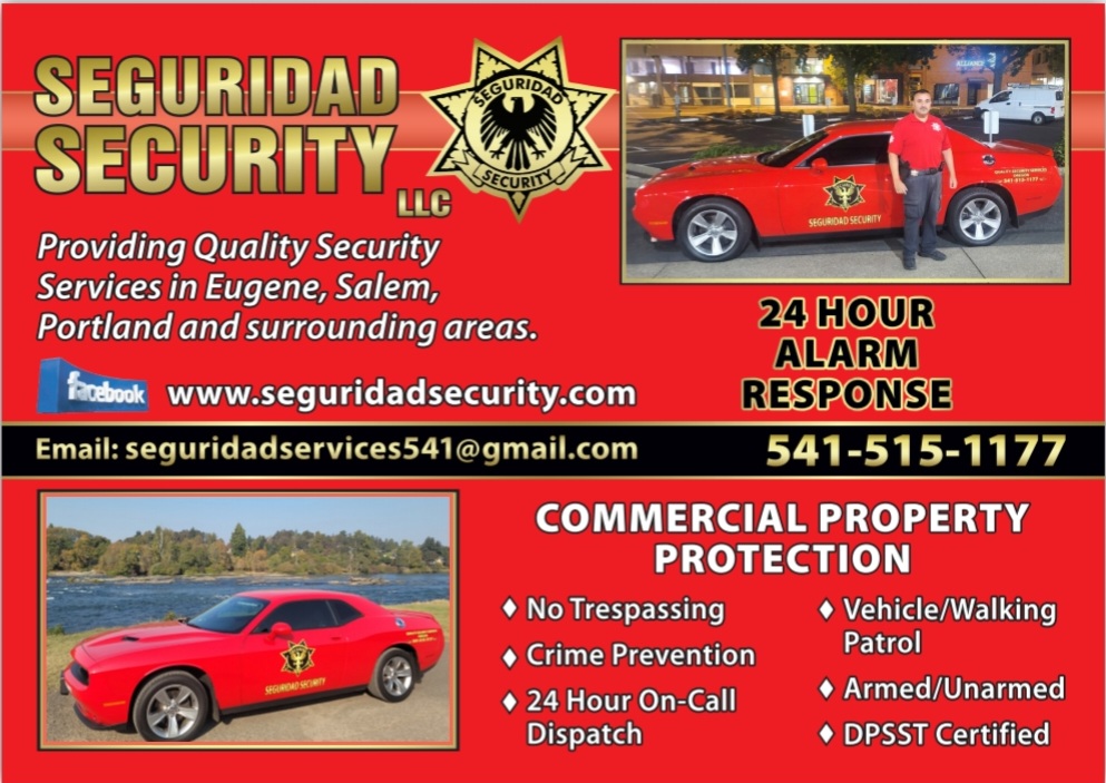 Seguridad Security Image