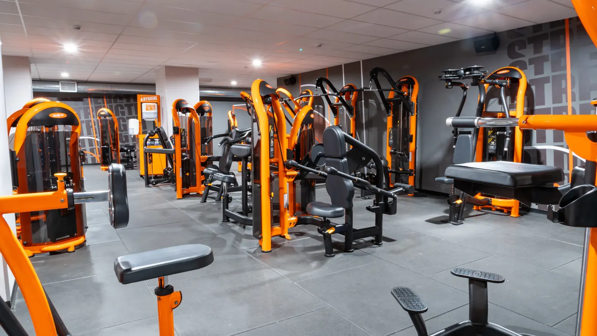 Galería en miniatura