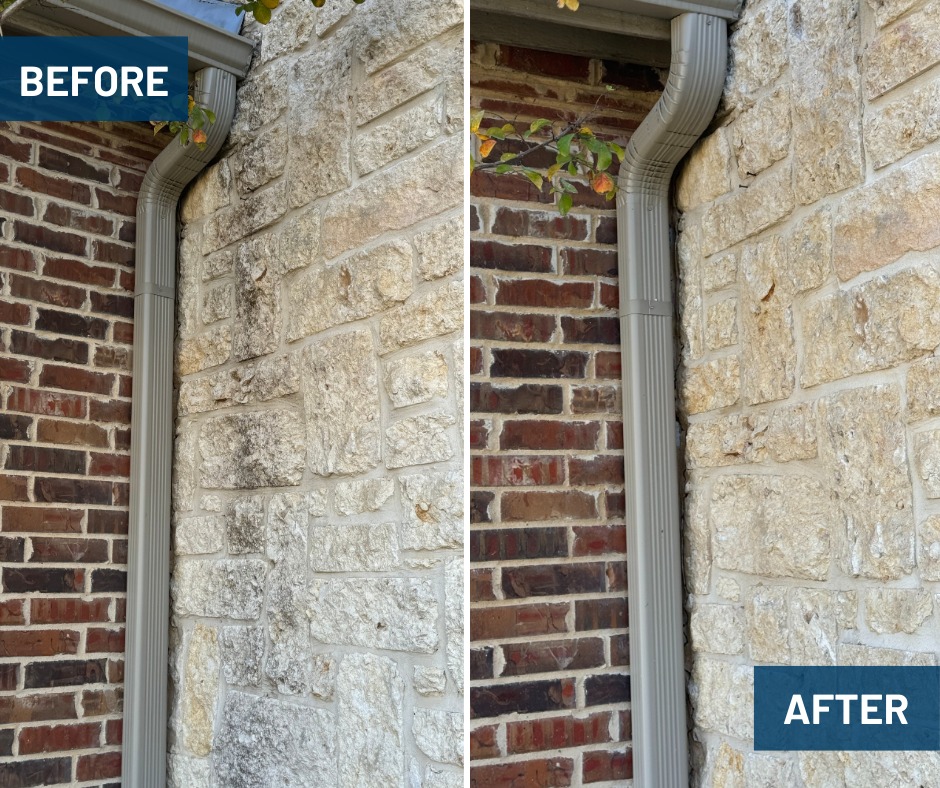 Window Hero Charlotte Image