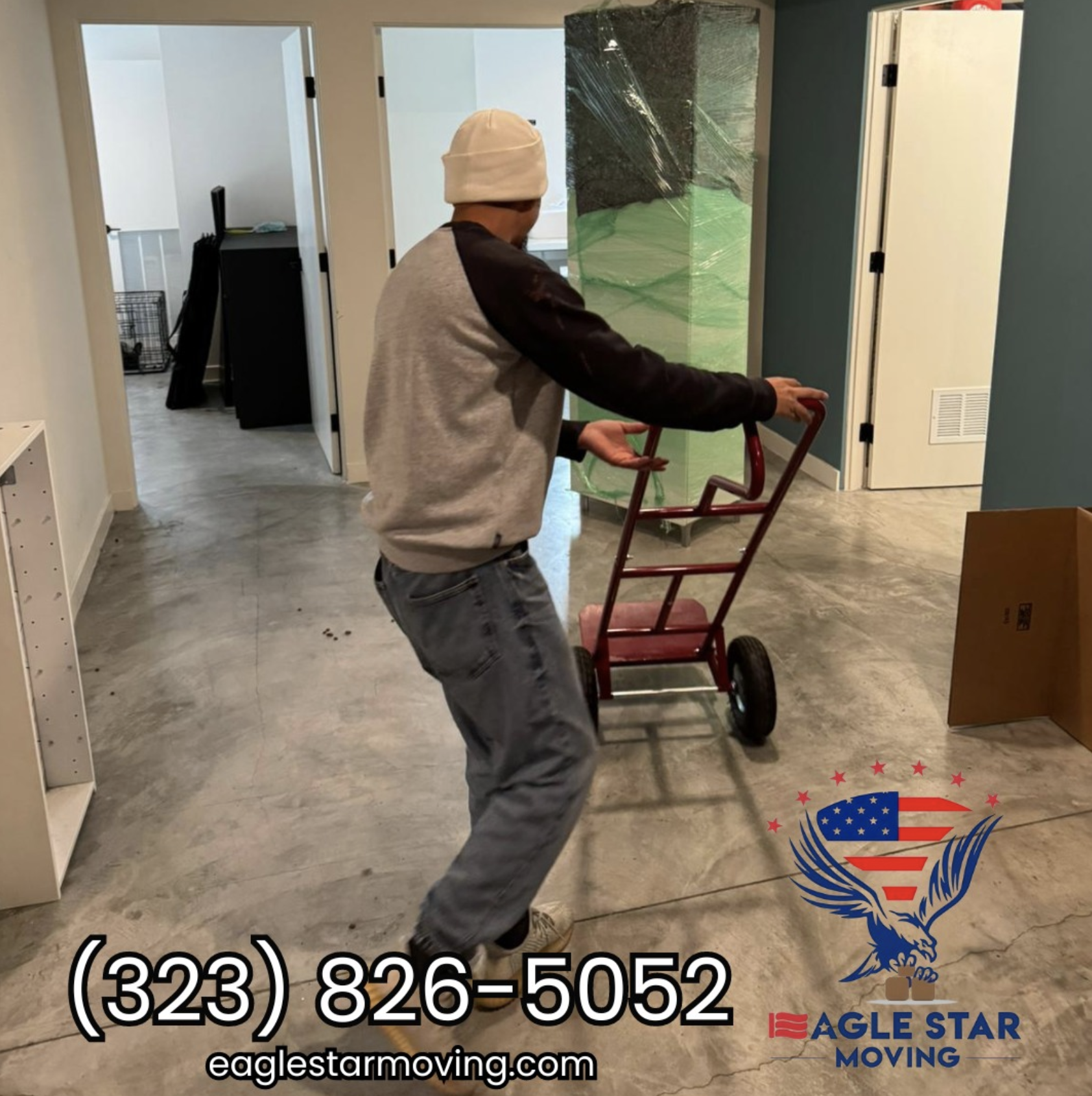 Eagle Star Moving Image