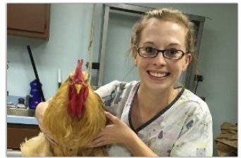 Stephens City Animal Hospital Image