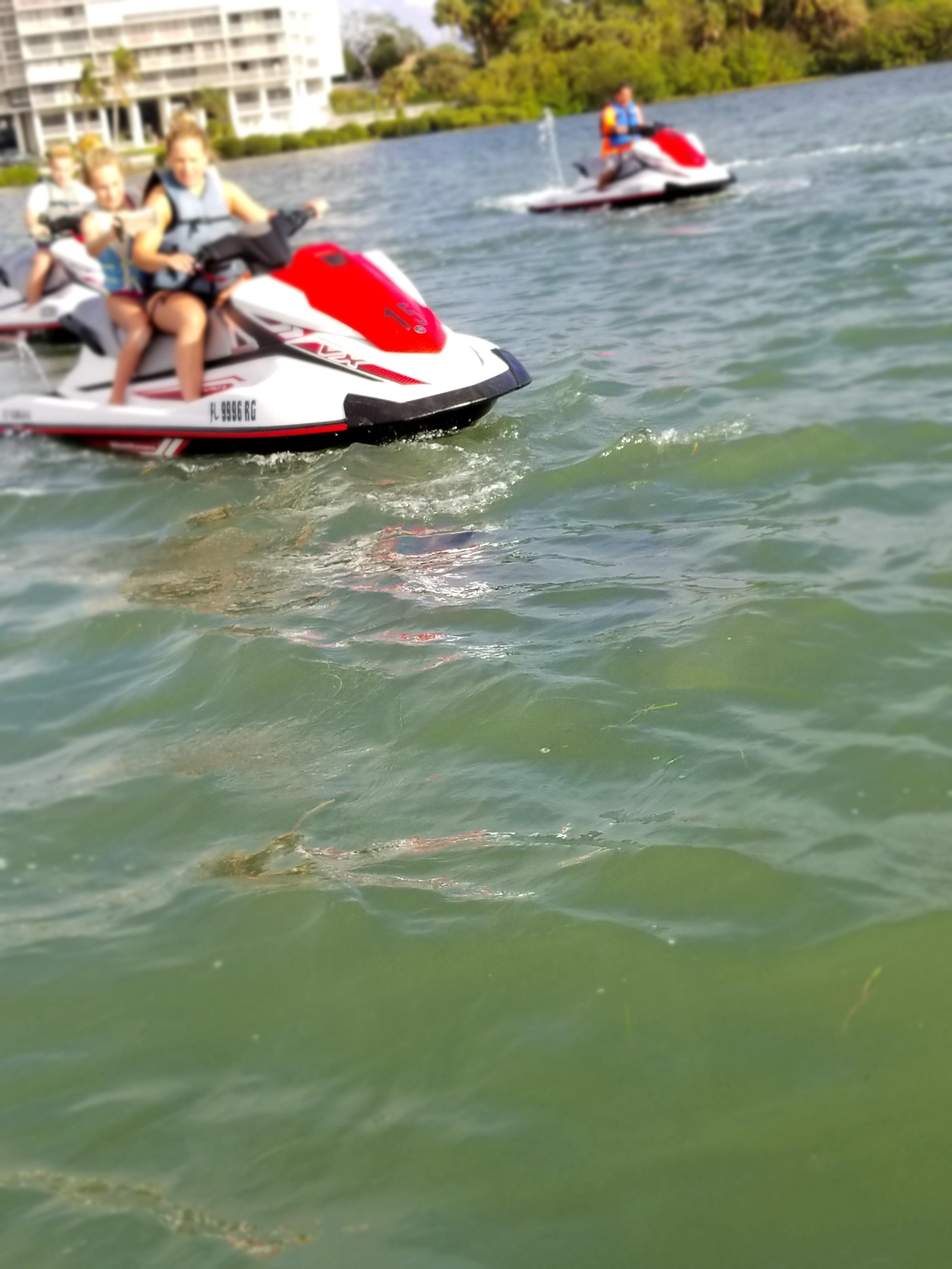 Clearwater Beach Waverunner Rentals Photo