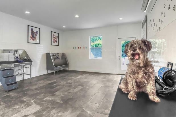 Images Camden Ballantyne Apartments
