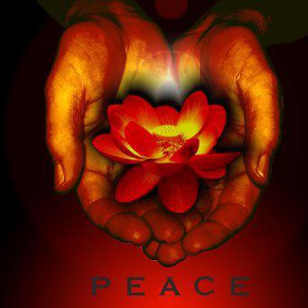 Tranquility Touch Massage Logo