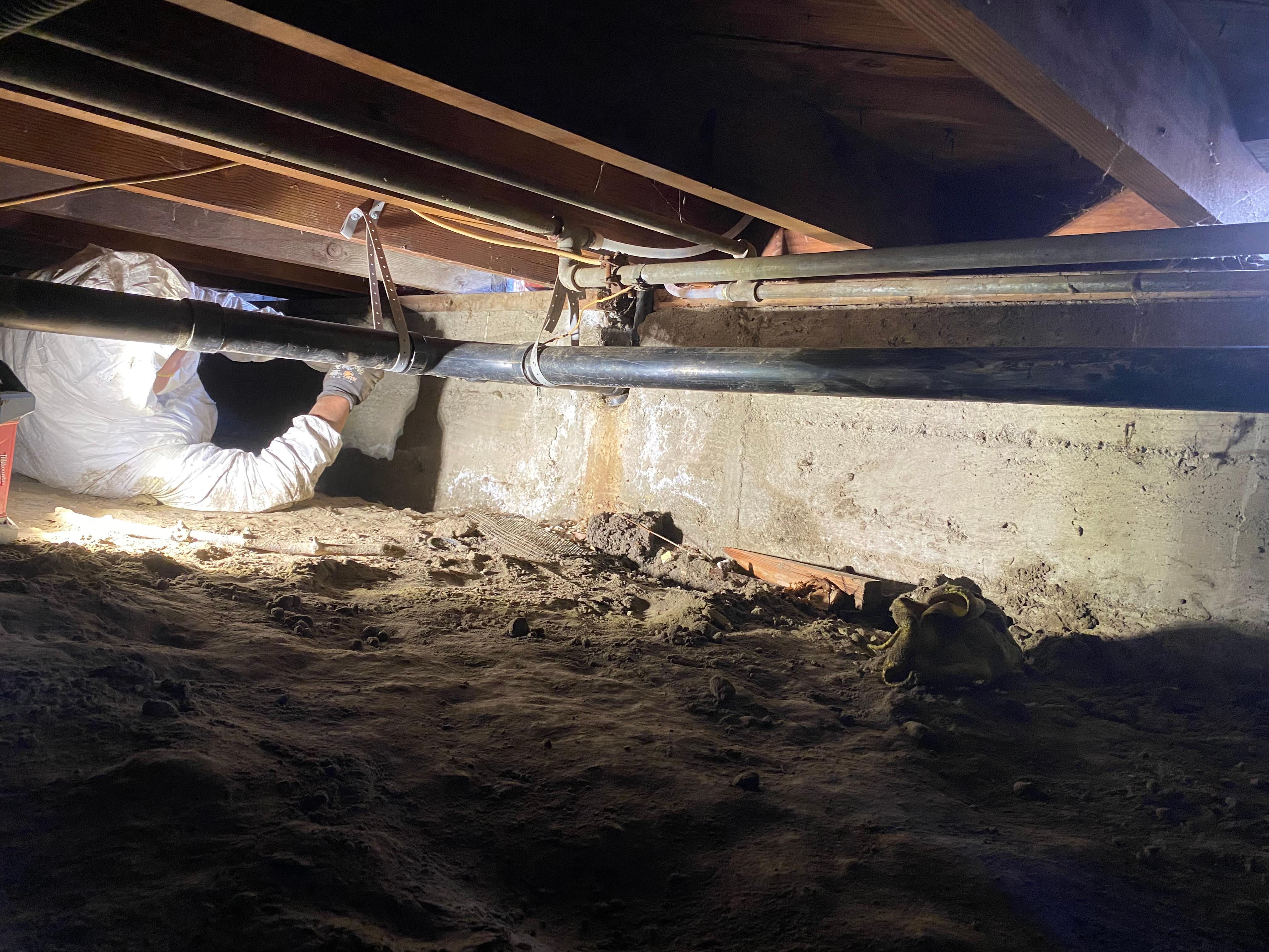 Premier Plumbing Solutions Image