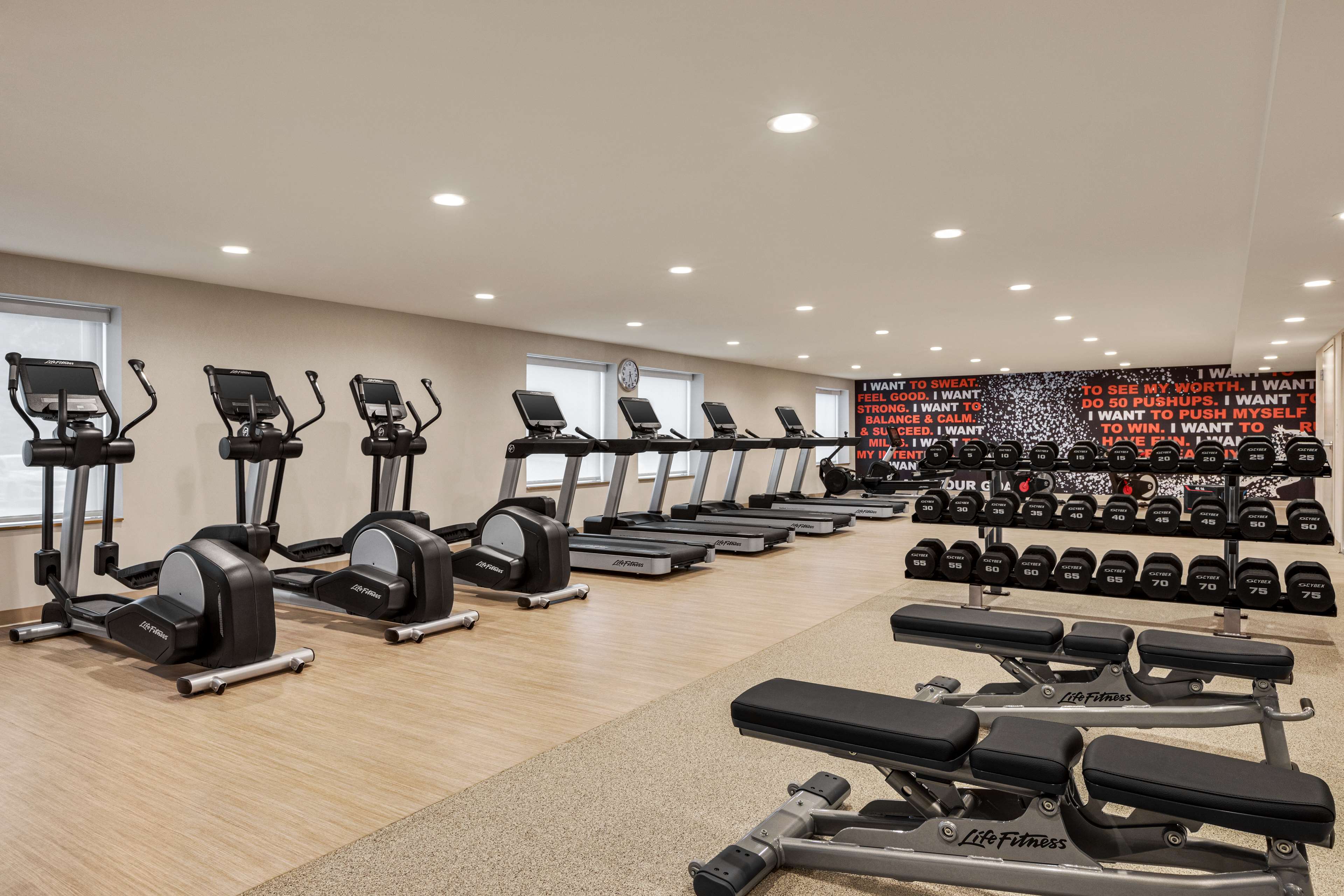 Health club  fitness center  gym