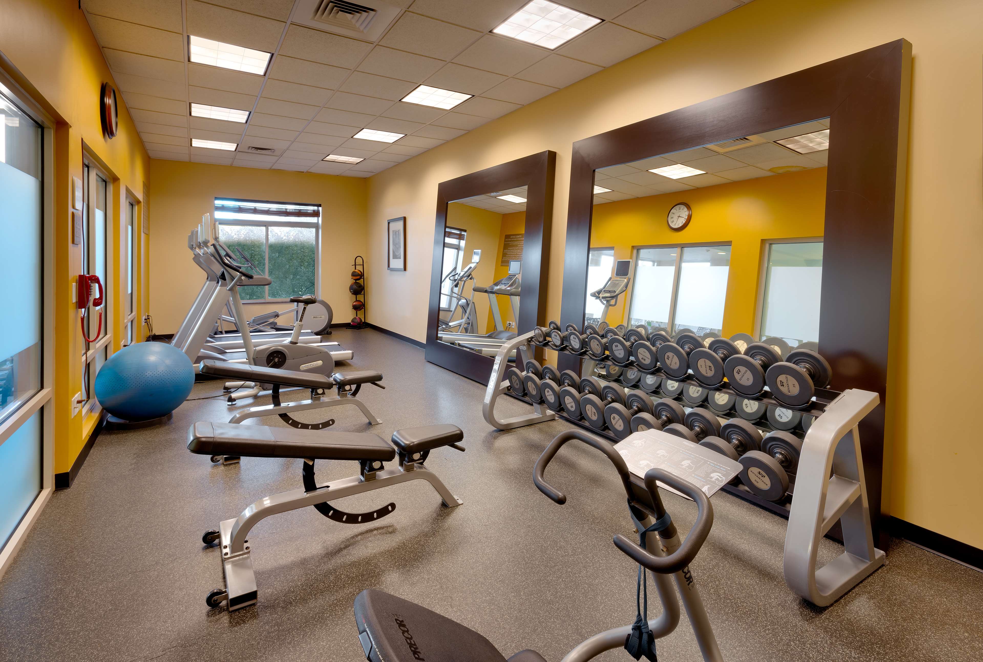 Health club  fitness center  gym