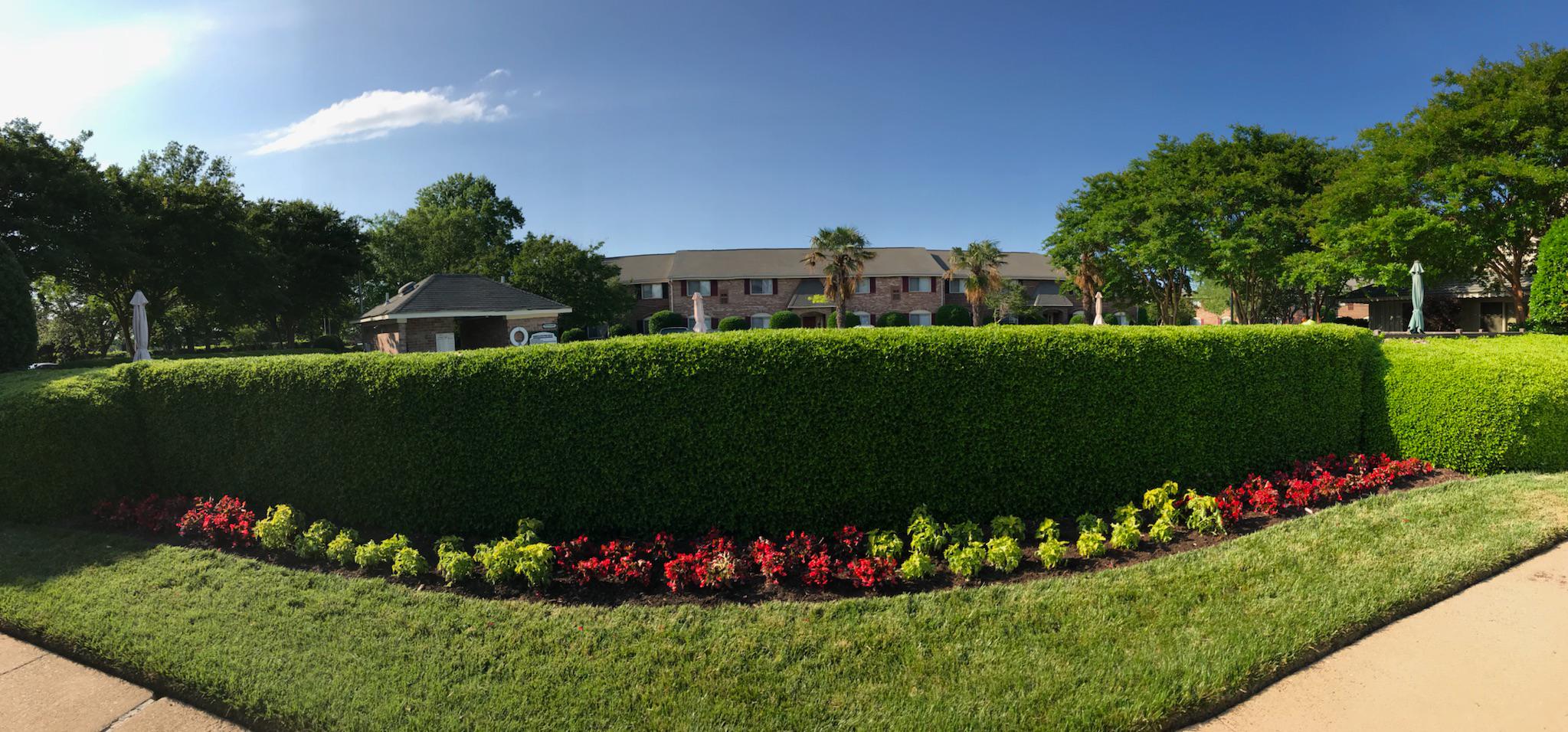 Botanical Landscape Management Photo