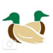 Dryer Ducks Logo