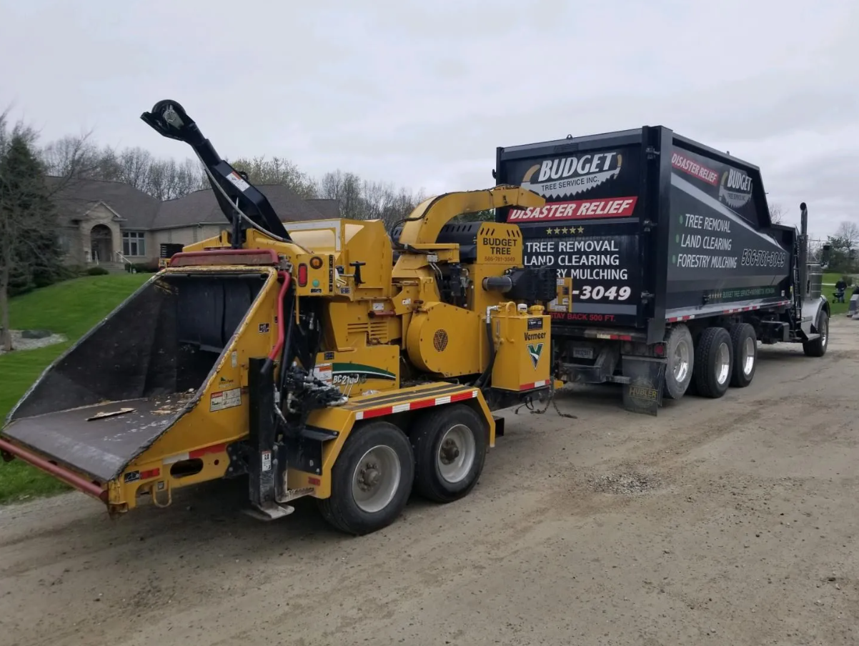 Budget Tree Service Image