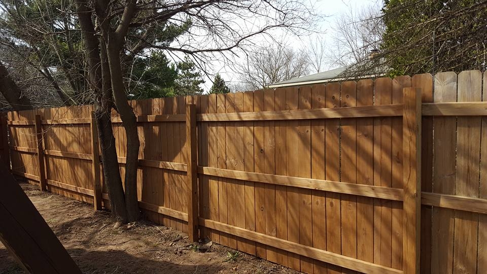 Think Green Window Clean Image