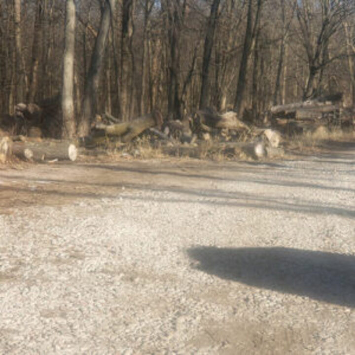 Amber & Stykemain Tree Service Image