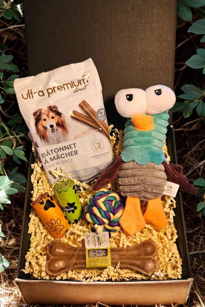 Miniature de la galerie