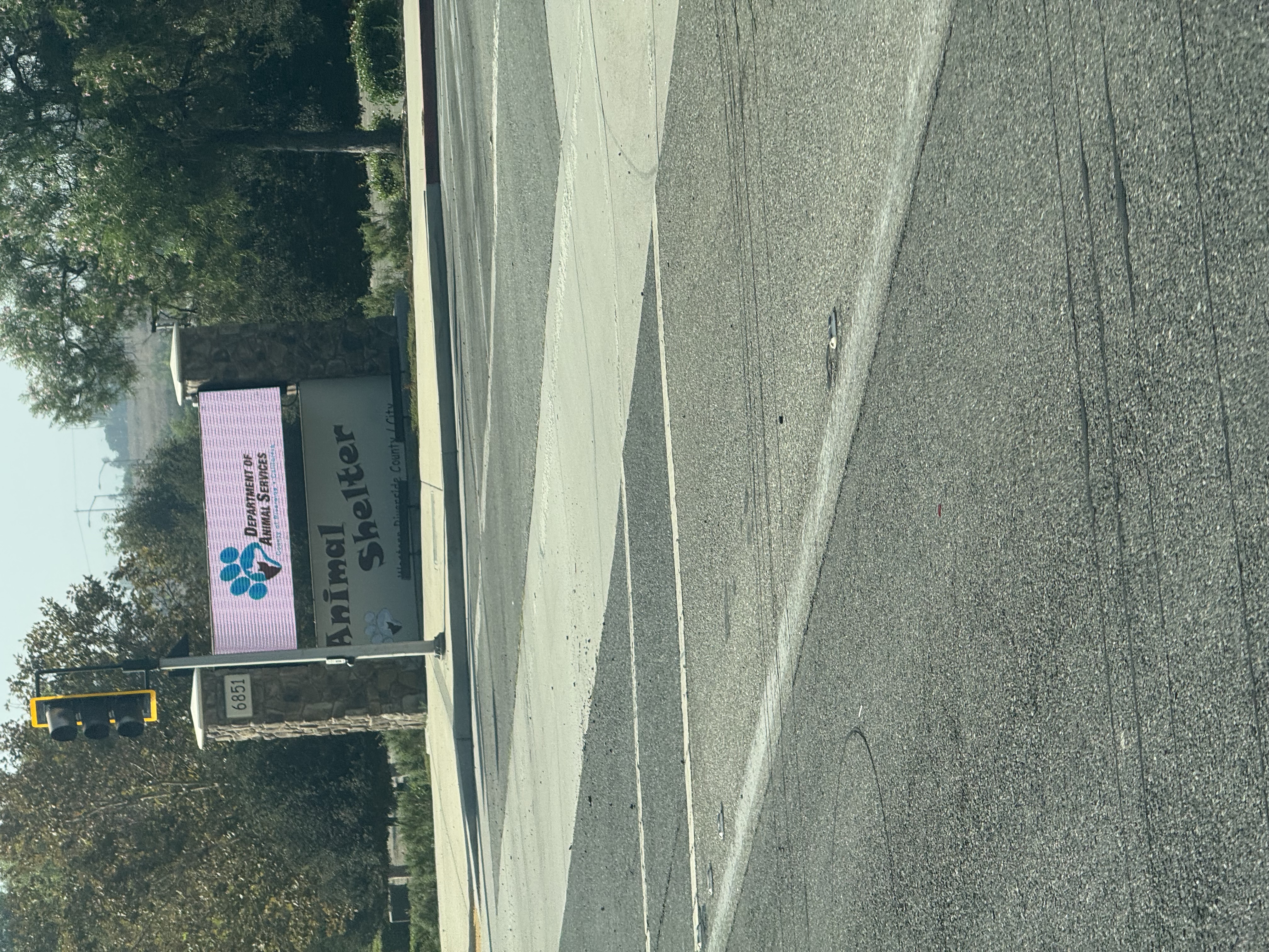 Speedy Pumping Image