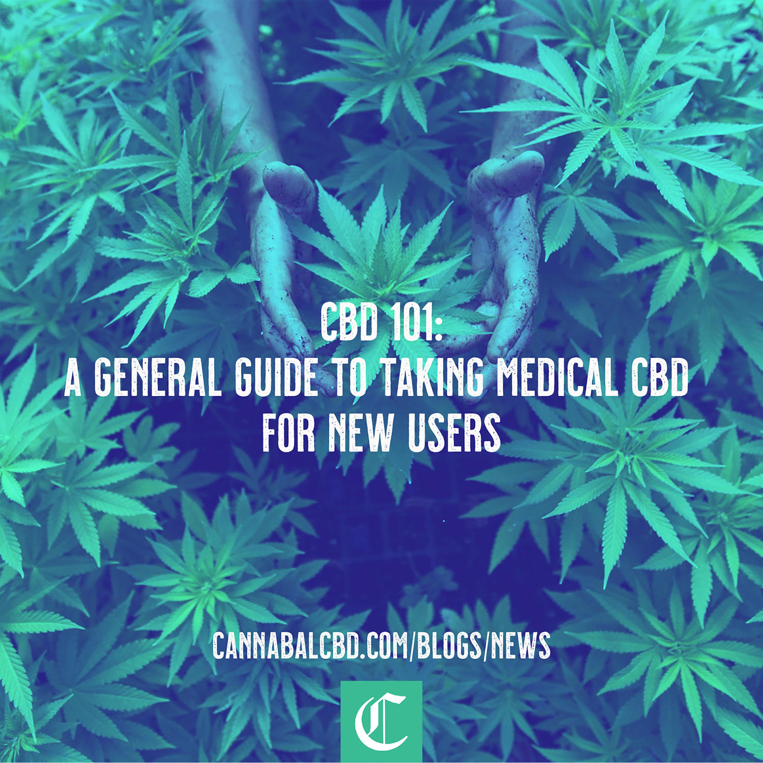 CBD 101: A Genral Guide for New Users