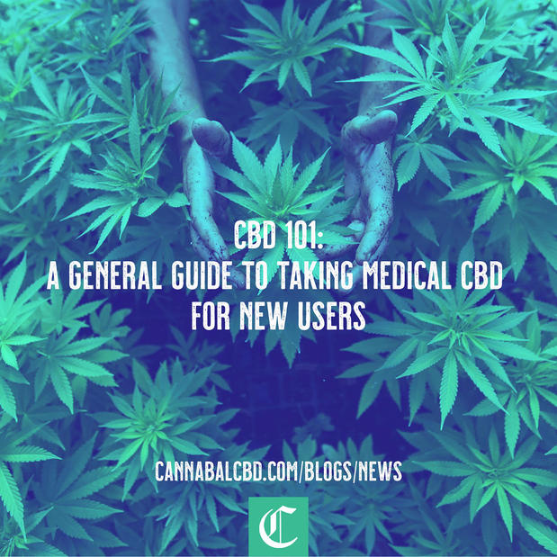 Images Cannabal CBD