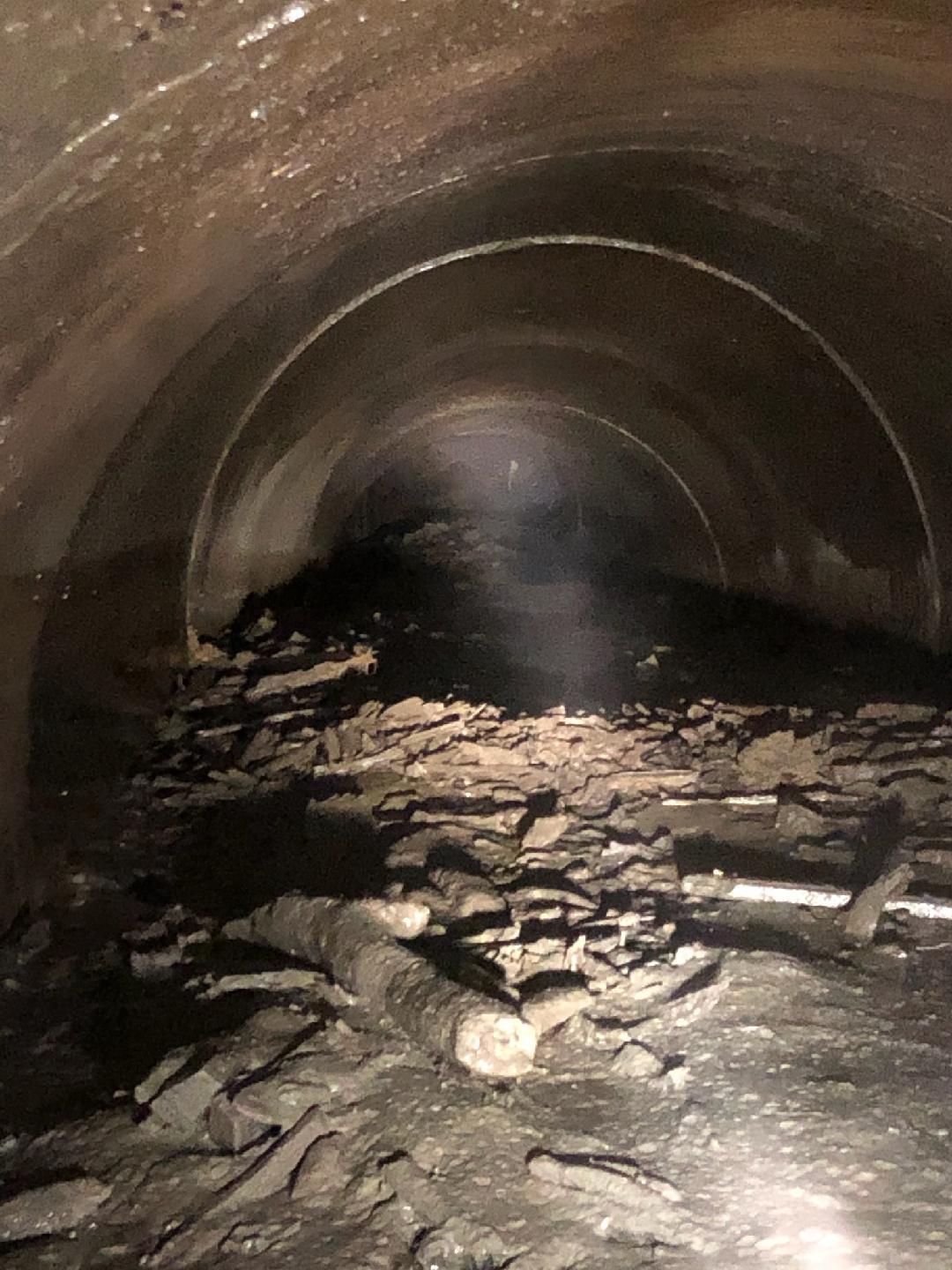 Reddi Services Image