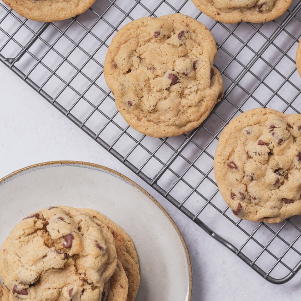 Chocolate Chip x3
