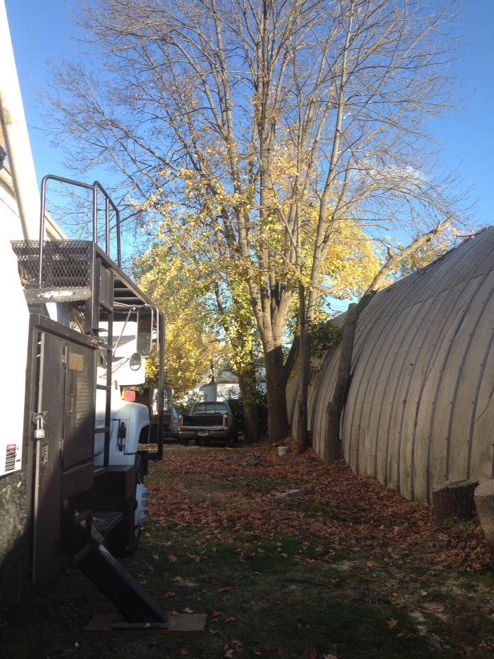 Hackney Tree Service Image