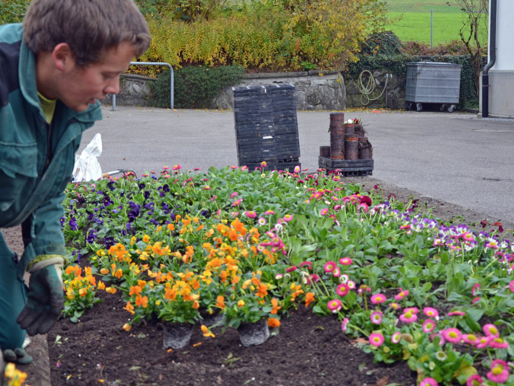 Gartenpflege