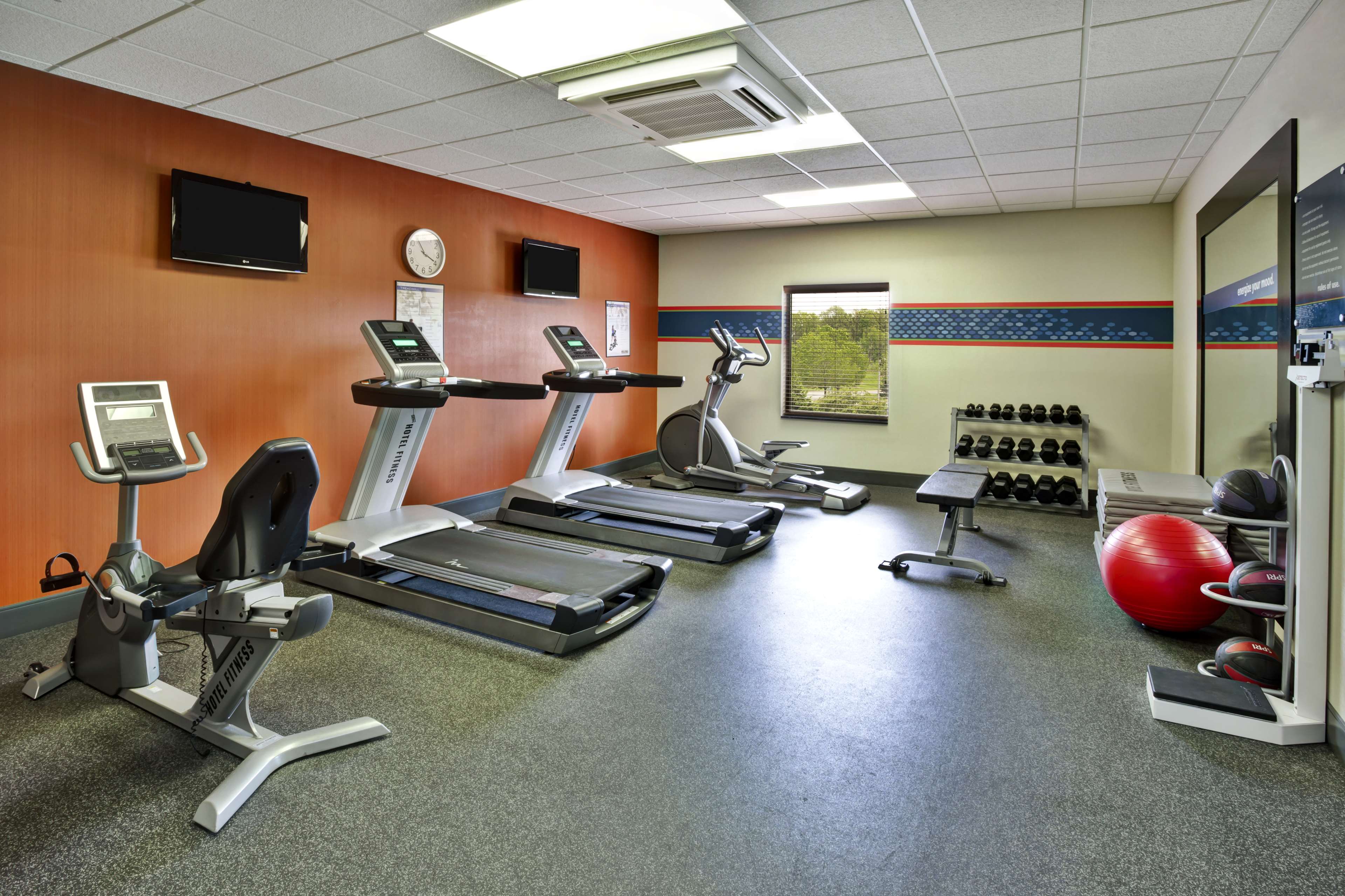 Health club  fitness center  gym