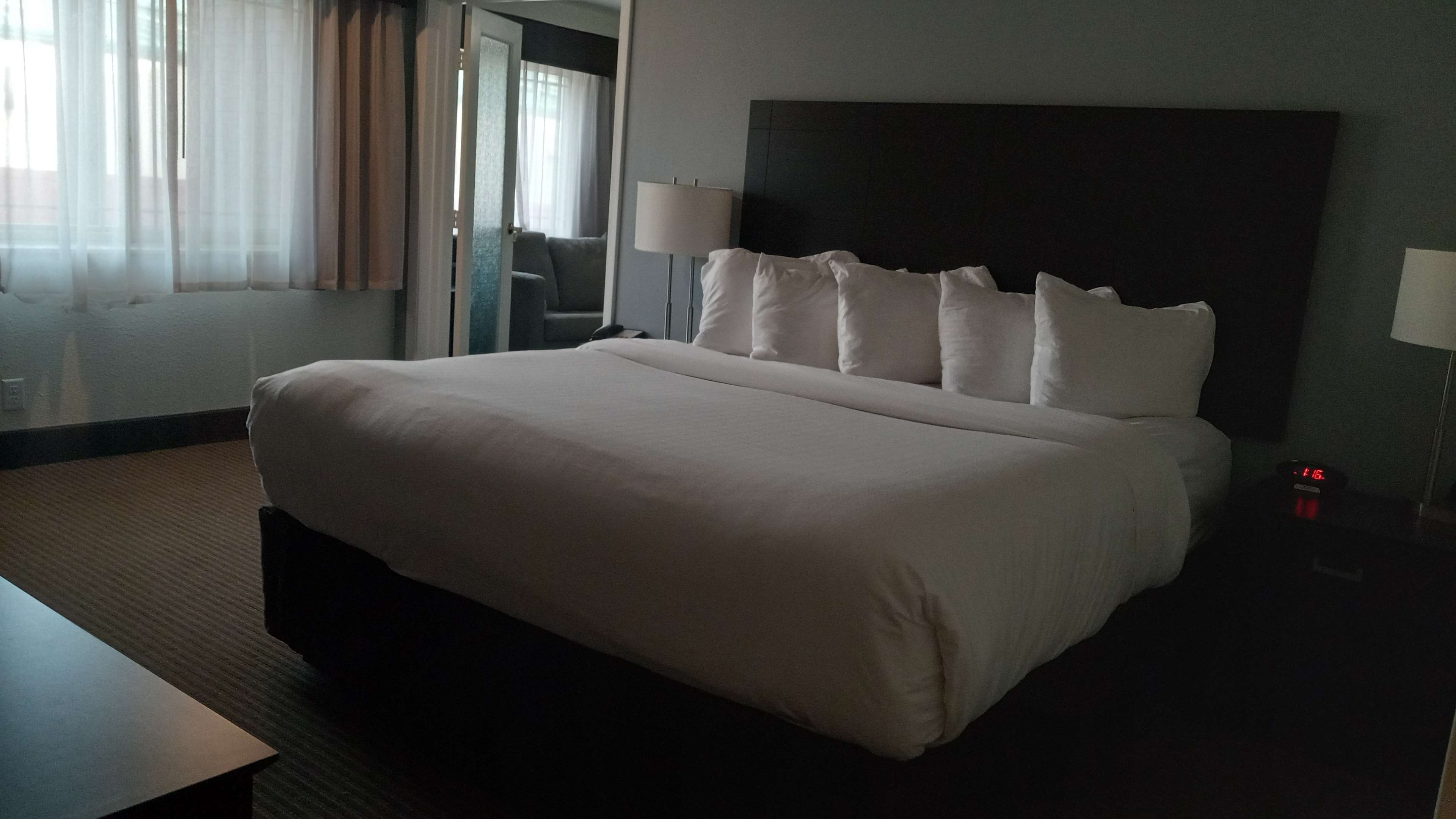 King with Sofabed + Twin Bunks