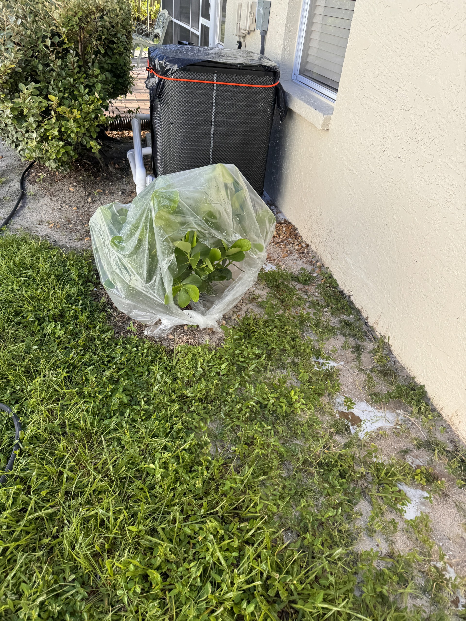 Window Hero Sarasota Image