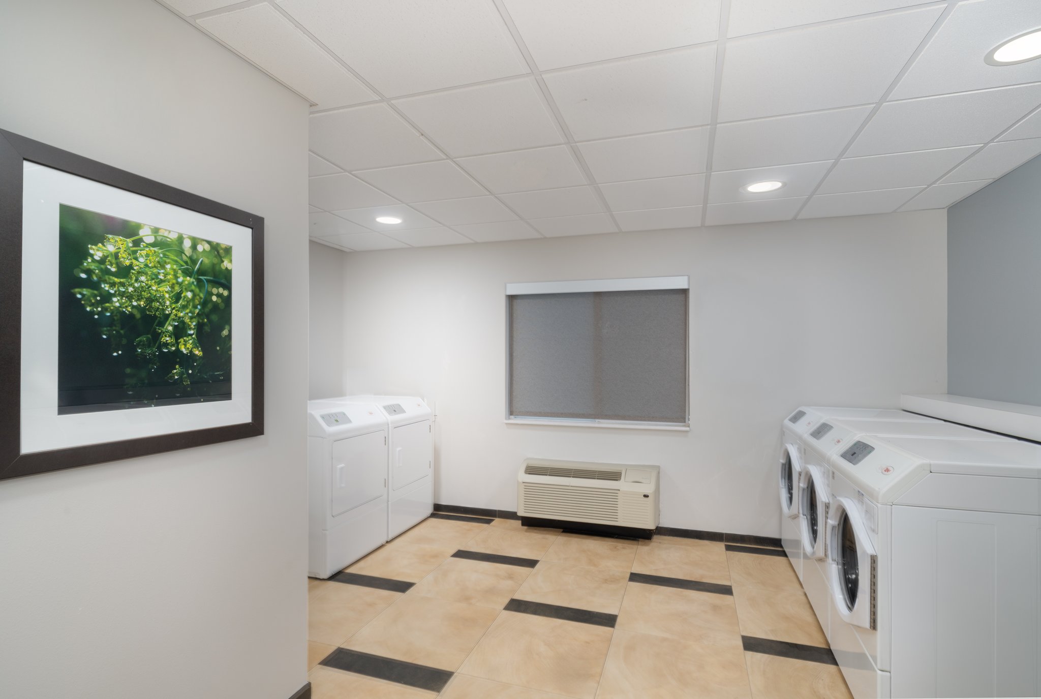 Candlewood Suites Gonzales - Baton Rouge Area by IHG Image