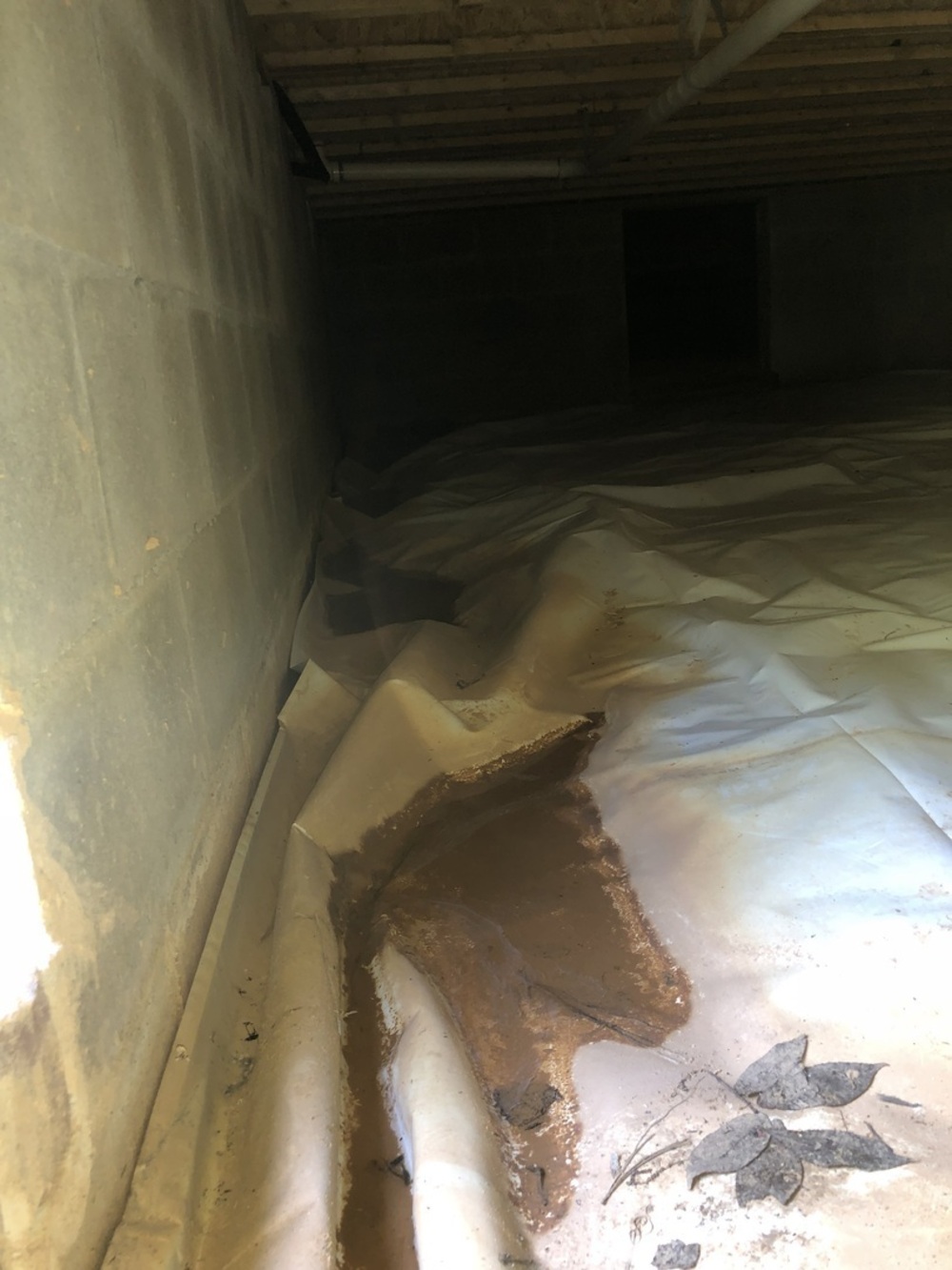 Ox Foundation Solutions Image