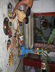 Manglik dosha nivaran pooja (Kuja dosham, Chevvai dosham