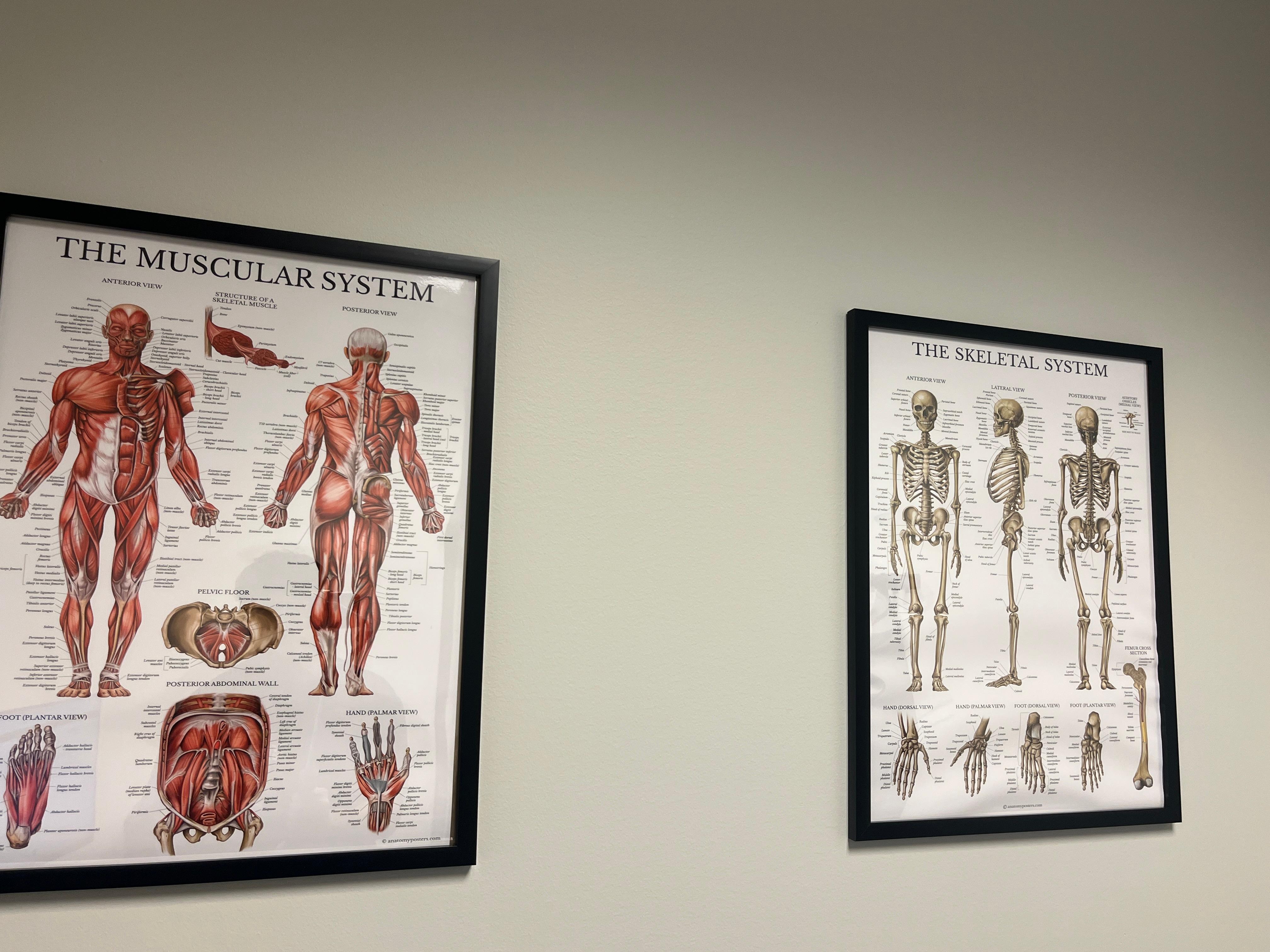 Accident Care Chiropractic Image