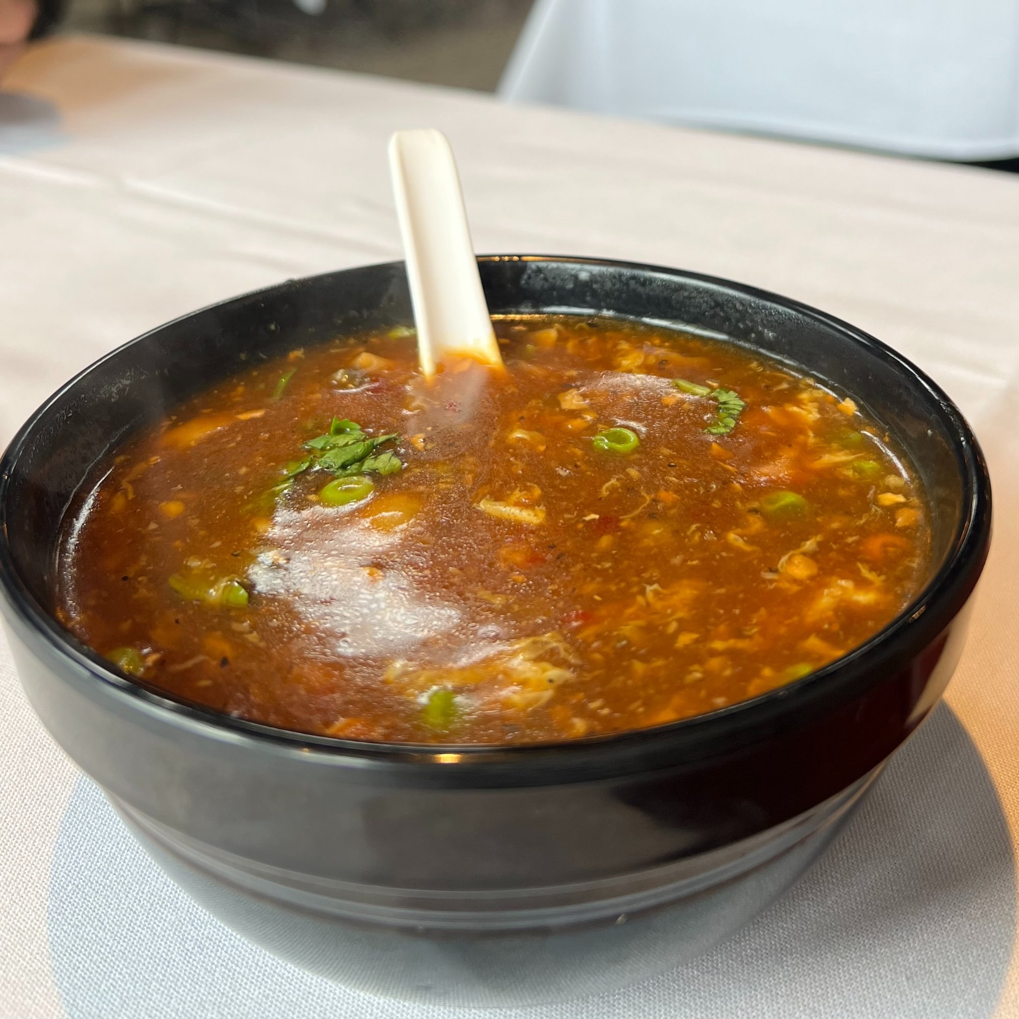 Hot & Sour Soup Veg