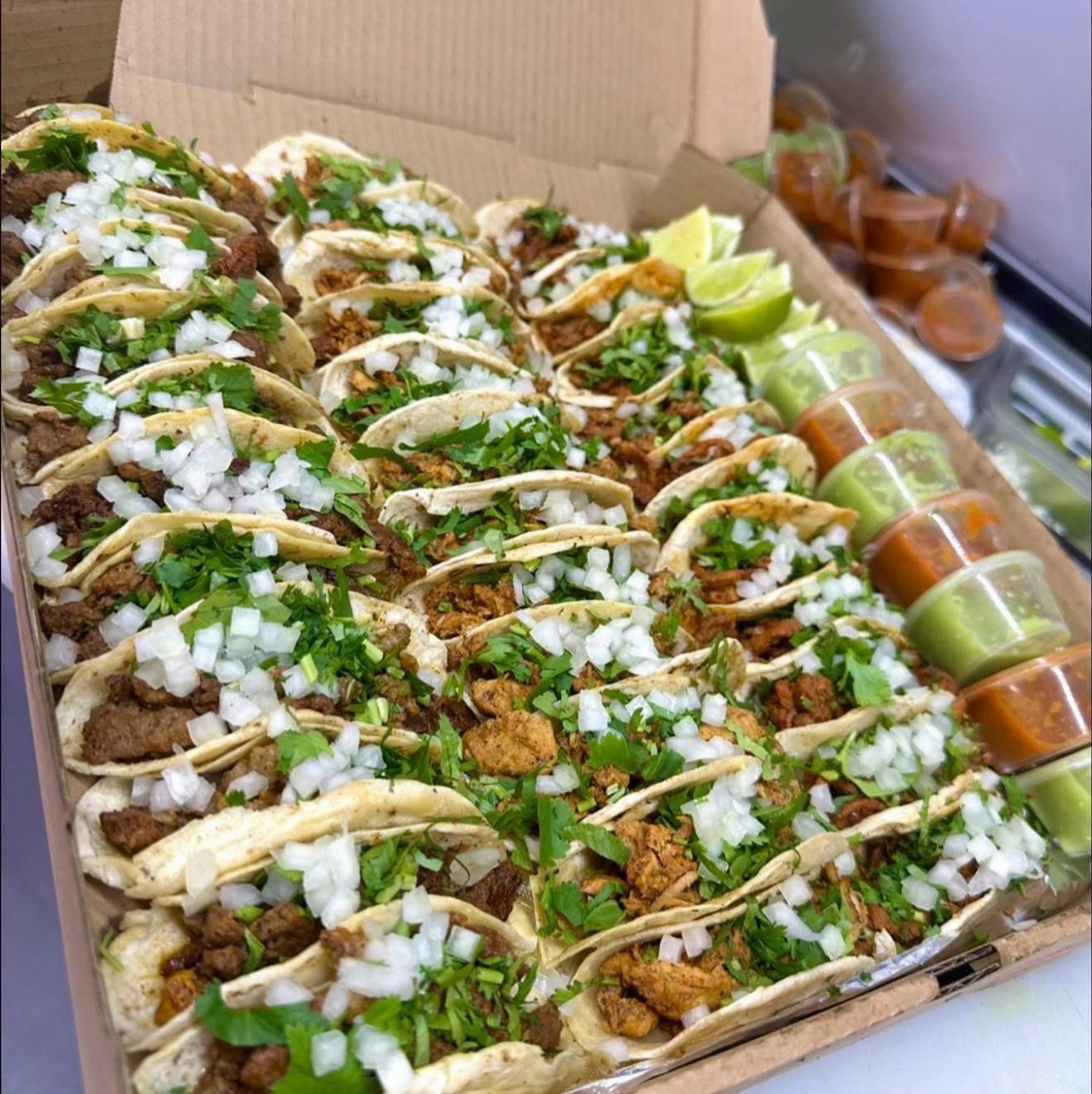 Taco Box Plus