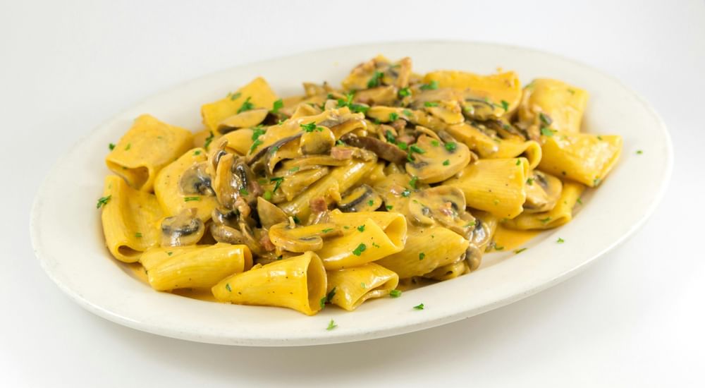 Paccheri Del Giorno Pasta