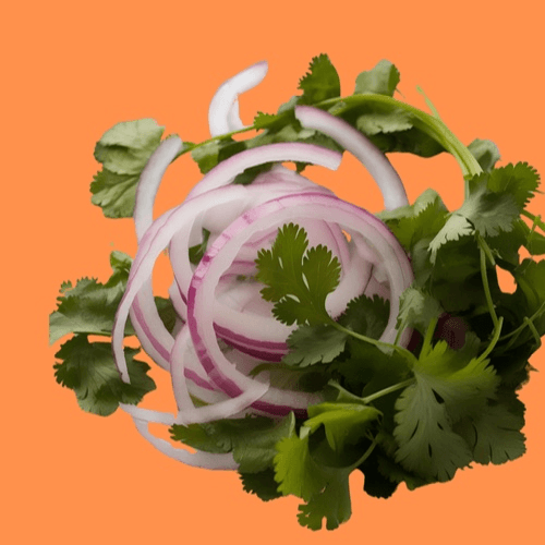 onions and cilantro mixed 