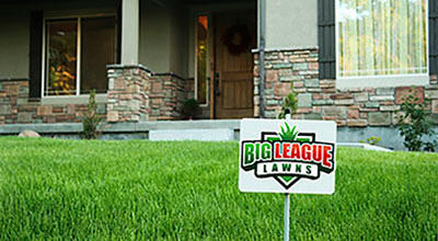 Big League Lawns Photo