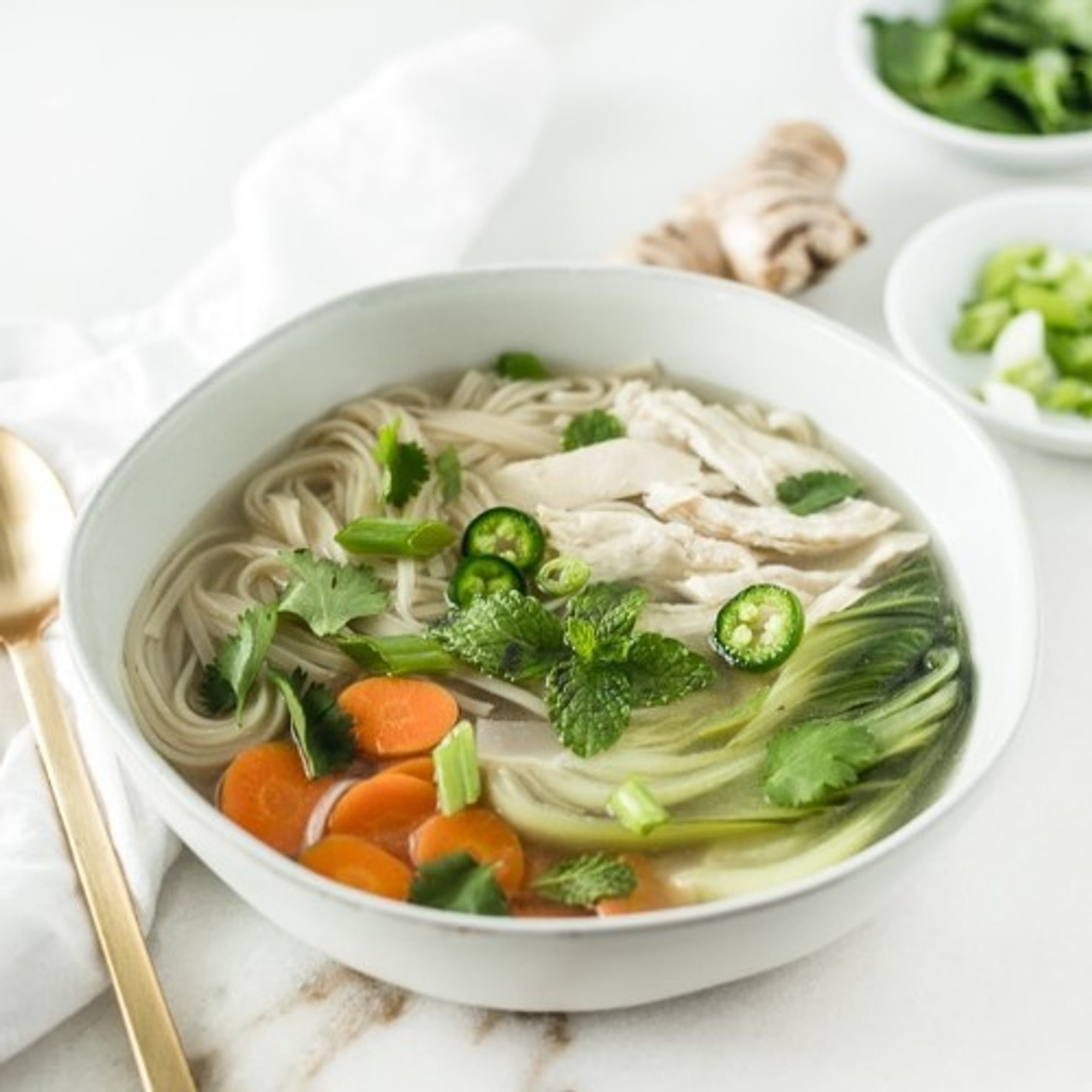 Chicken Noodle Soup