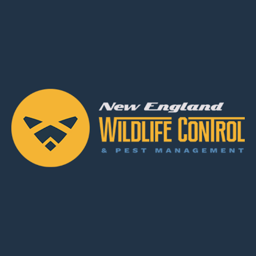 New England Wildlife Control